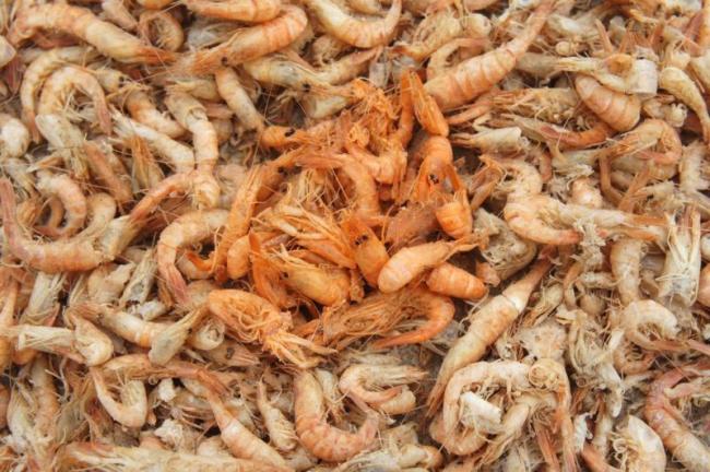 Фальшивые креветки: как подделывают морепродукты